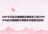 DNF平凡的灵魂精髓在哪里弄介绍(DNF平凡的灵魂精髓在哪里弄详细情况如何)