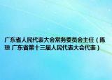 广东省人民代表大会常务委员会主任（陈琼 广东省第十三届人民代表大会代表）