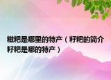 糍粑是哪里的特产（籽粑的简介籽粑是哪的特产）