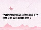 今晚的月亮的歌词是什么歌曲（今晚的月亮 崔开潮演唱歌曲）