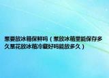 葱要放冰箱保鲜吗（葱放冰箱里能保存多久葱花放冰箱冷藏好吗能放多久）