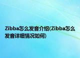 Zibba怎么发音介绍(Zibba怎么发音详细情况如何)