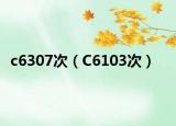 c6307次（C6103次）