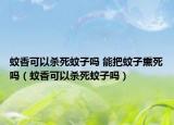 蚊香可以杀死蚊子吗 能把蚊子熏死吗（蚊香可以杀死蚊子吗）
