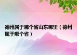 德州属于哪个省山东哪里（德州属于哪个省）