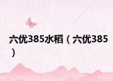 六优385水稻（六优385）