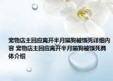 宠物店主回应离开半月猫狗被饿死详细内容 宠物店主回应离开半月猫狗被饿死具体介绍