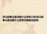 哭泣的拳头歌词是什么意思介绍(哭泣的拳头歌词是什么意思详细情况如何)