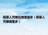 稻草人咒锥在哪里最多（稻草人咒锥哪里多）