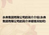 永鼎集团有限公司的简介介绍(永鼎集团有限公司的简介详细情况如何)