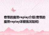 奇怪的魔兽replay介绍(奇怪的魔兽replay详细情况如何)