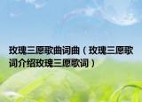 玫瑰三愿歌曲词曲（玫瑰三愿歌词介绍玫瑰三愿歌词）