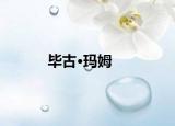 毕古·玛姆
