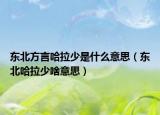 东北方言哈拉少是什么意思（东北哈拉少啥意思）
