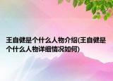 王自健是个什么人物介绍(王自健是个什么人物详细情况如何)