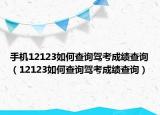 手机12123如何查询驾考成绩查询（12123如何查询驾考成绩查询）