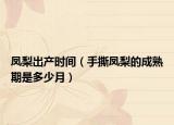 凤梨出产时间（手撕凤梨的成熟期是多少月）