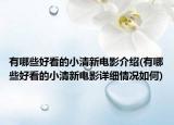 有哪些好看的小清新电影介绍(有哪些好看的小清新电影详细情况如何)