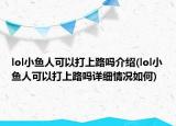 lol小鱼人可以打上路吗介绍(lol小鱼人可以打上路吗详细情况如何)
