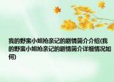我的野蛮小姐抢亲记的剧情简介介绍(我的野蛮小姐抢亲记的剧情简介详细情况如何)
