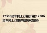 12306动车网上订票介绍(12306动车网上订票详细情况如何)