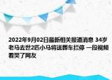 2022年9月02日最新相关报道消息 34岁老马去世2匹小马将送葬车拦停 一段视频看哭了网友
