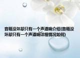 音箱没坏却只有一个声道响介绍(音箱没坏却只有一个声道响详细情况如何)