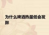 为什么啤酒热量低会发胖