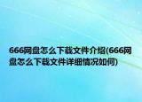 666网盘怎么下载文件介绍(666网盘怎么下载文件详细情况如何)