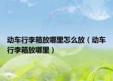 动车行李箱放哪里怎么放（动车行李箱放哪里）