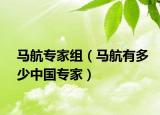 马航专家组（马航有多少中国专家）