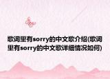 歌词里有sorry的中文歌介绍(歌词里有sorry的中文歌详细情况如何)