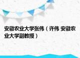 安徽农业大学张伟（许伟 安徽农业大学副教授）