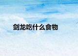 剑龙吃什么食物
