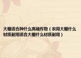 大棚适合种什么高端作物（农用大棚什么材质耐用适合大棚什么材质耐用）