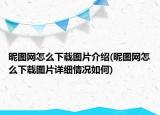 昵图网怎么下载图片介绍(昵图网怎么下载图片详细情况如何)