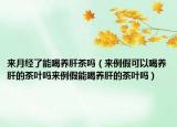 来月经了能喝养肝茶吗（来例假可以喝养肝的茶叶吗来例假能喝养肝的茶叶吗）