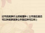 过冬的莴笋什么时候播种（立冬前后是否可以种莴笋莴笋立冬前后种可以吗）