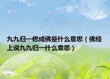九九归一修成佛是什么意思（佛经上说九九归一什么意思）