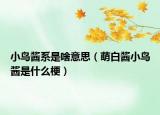 小鸟酱系是啥意思（萌白酱小鸟酱是什么梗）
