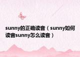 sunny的正确读音（sunny如何读音sunny怎么读音）