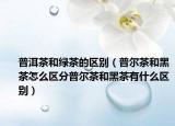 普洱茶和绿茶的区别（普尔茶和黑茶怎么区分普尔茶和黑茶有什么区别）