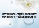 盛大的热血积分有什么用介绍(盛大的热血积分有什么用详细情况如何)