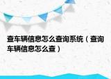 查车辆信息怎么查询系统（查询车辆信息怎么查）