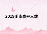 2019湖南高考人数