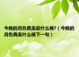 今晚的月色真美是什么梗?（今晚的月色真美什么梗下一句）