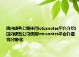 国内哪些公司使用lotusnotes平台介绍(国内哪些公司使用lotusnotes平台详细情况如何)