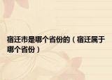 宿迁市是哪个省份的（宿迁属于哪个省份）