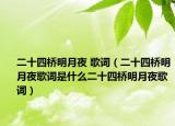 二十四桥明月夜 歌词（二十四桥明月夜歌词是什么二十四桥明月夜歌词）
