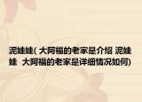 泥娃娃( 大阿福的老家是介绍 泥娃娃  大阿福的老家是详细情况如何)